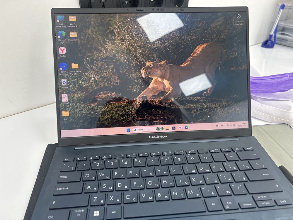 Ноутбуки asus 14