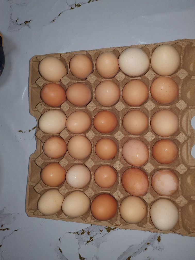 Яйцо домашнее вкусное