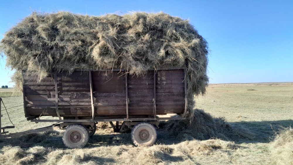 Продается трактор МТЗ - 80 с полным набором навесного оборудования.