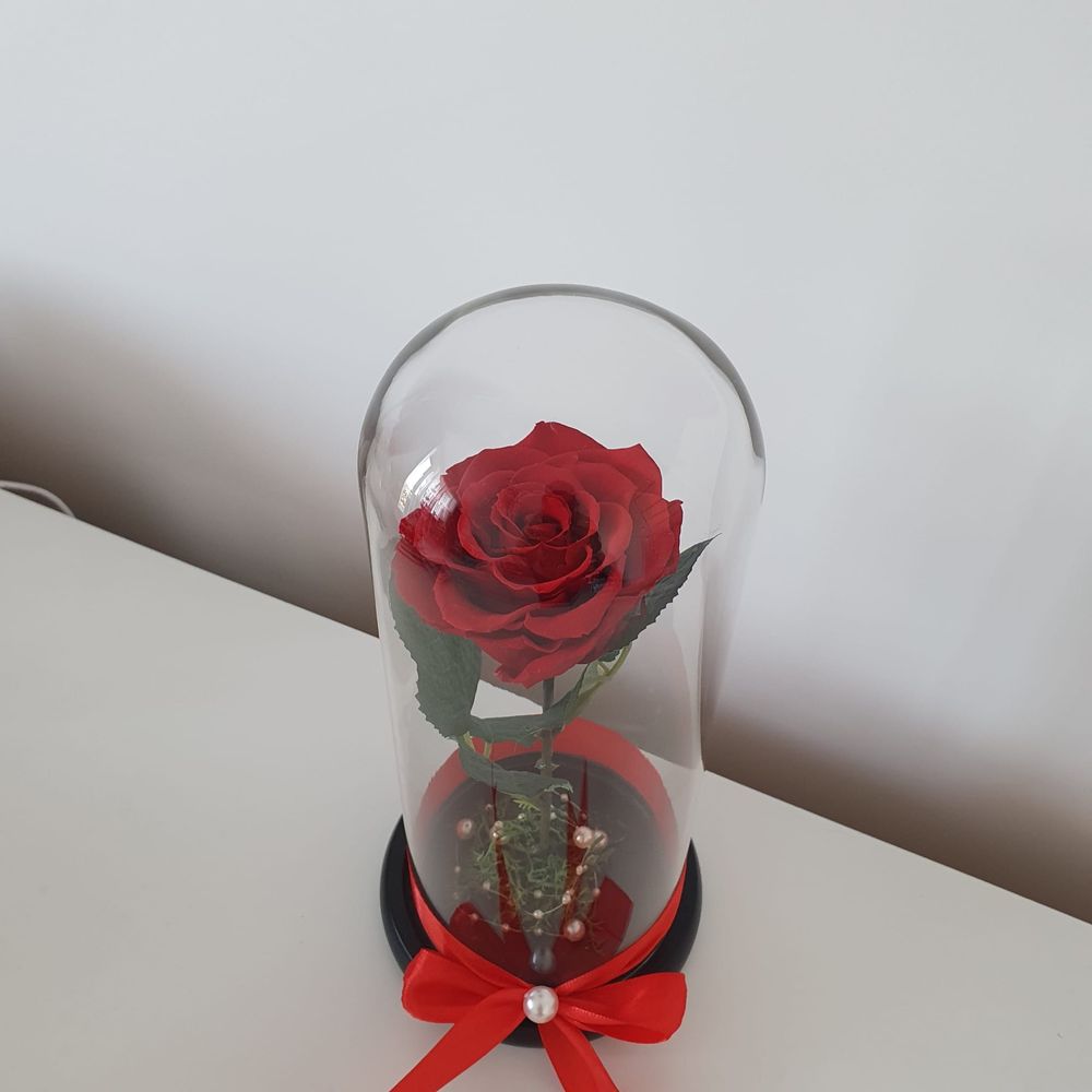 Trandafir rosu criogenat conservat