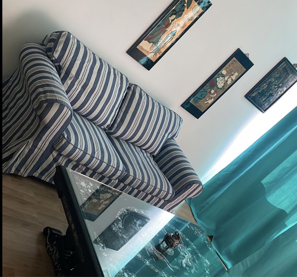 Canapea ektorp ikea doua locuri