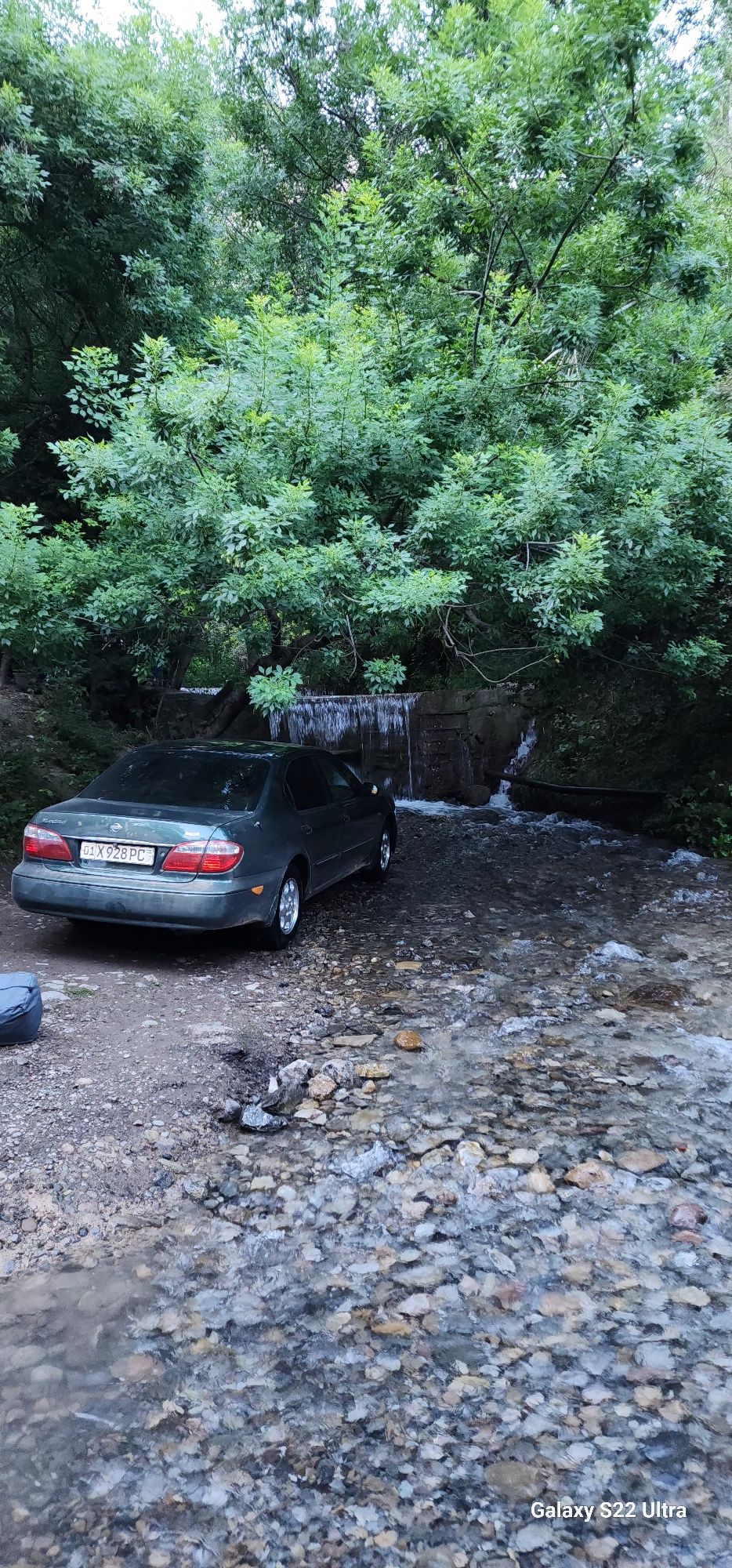 Nissan Maxima a33