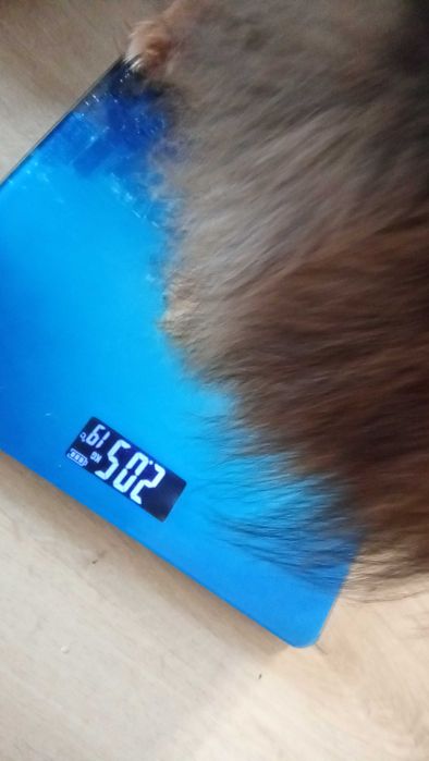 Мини сладко момченце