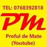 Profesor matematică meditații I-XII, BAC, Evaluare Națională