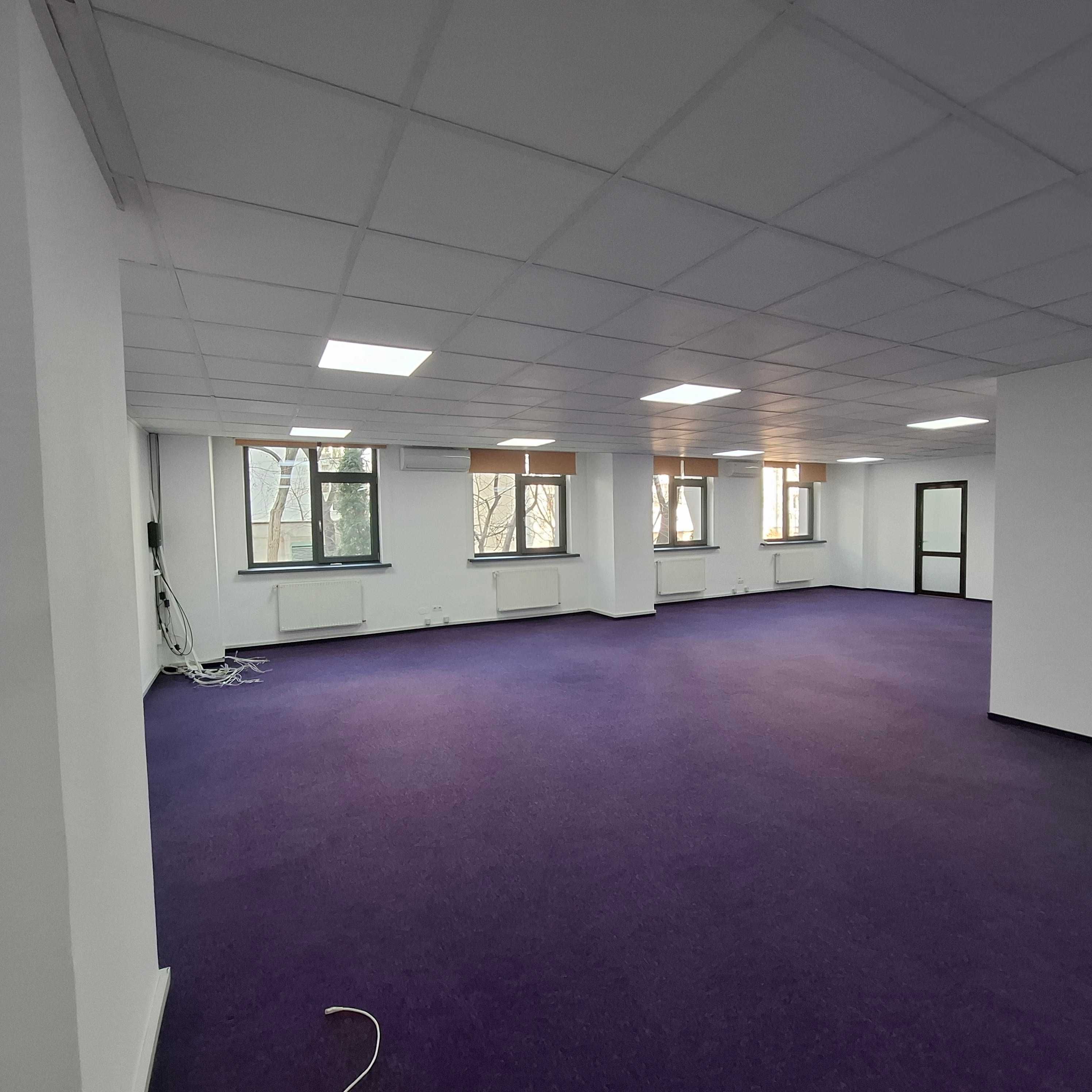 Spatii de birouri vis a vis de  Palas, 182 m2, parter