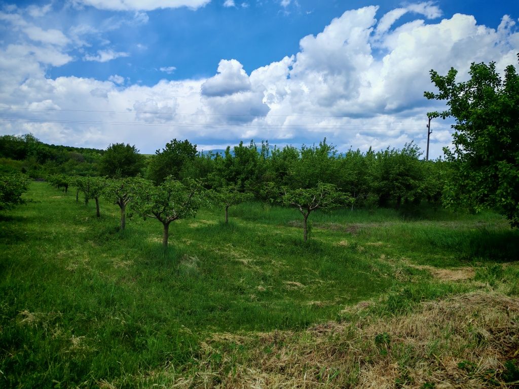 Продажба на имот