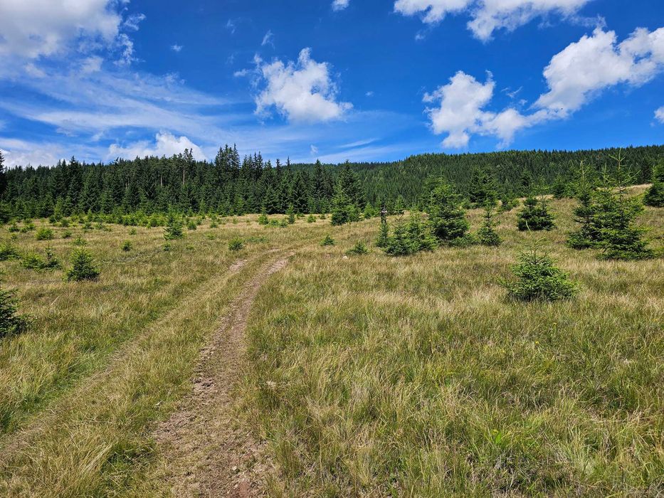 Proprietate de vanzare 92.554.mp ( 9.25 ha) in Bucovina zona Breaza