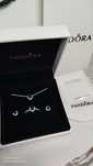 Украшения  стильный комплект Pandora