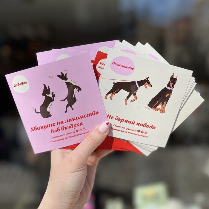 Тренировъчни карти за куче