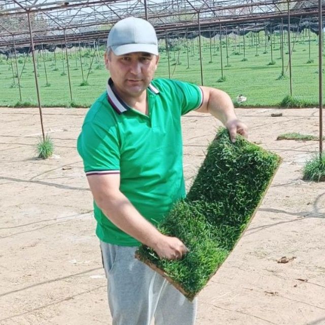 Газон ва автополив