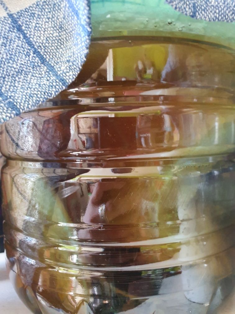 Ciuperca Kombucha Scoby miraculoasa