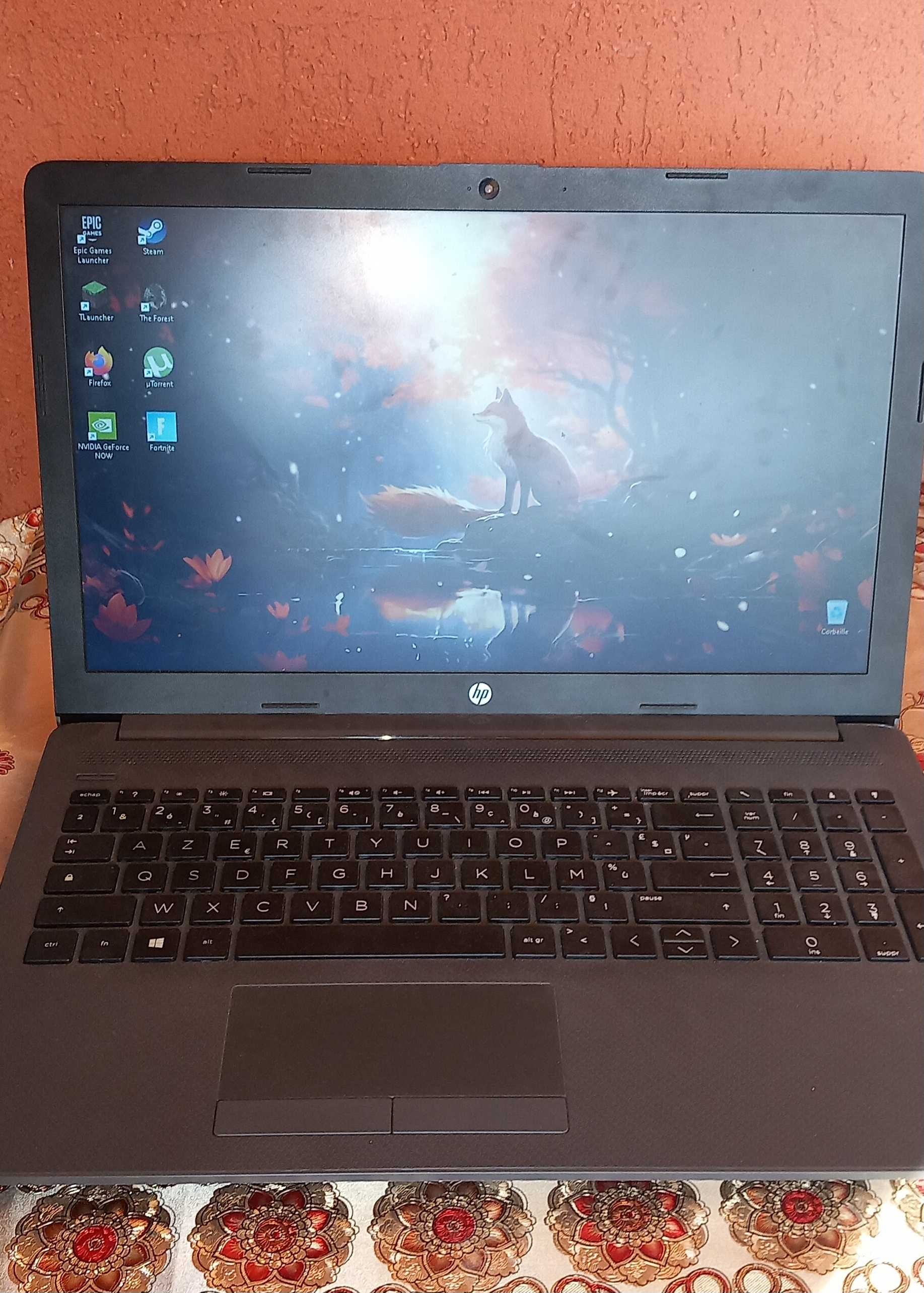 Laptop HP 255 G17