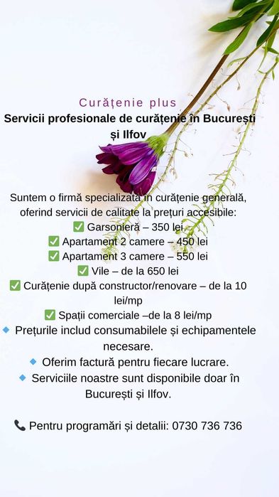 Servicii de Curățenie în București și Ilfov