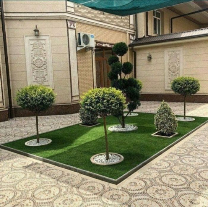 Yevro gazon 10.000 so'm