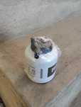 Filtru motorina Bobcat NOU