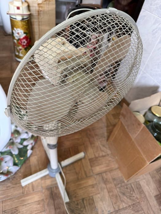 Вентилятор б/у. Хорошего состояния