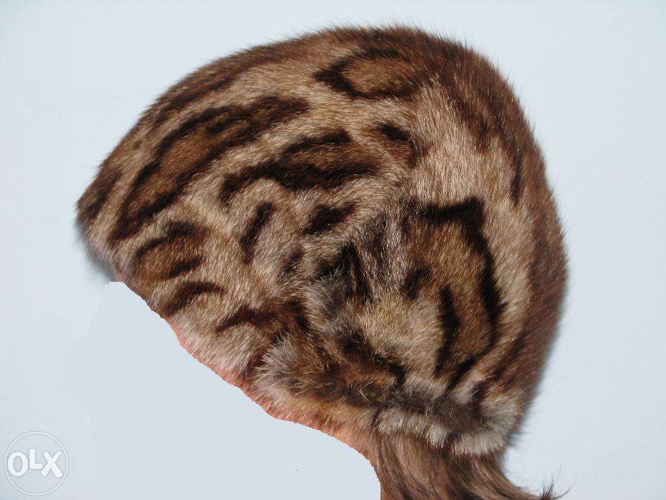 Vand caciula blana ocelot, pisica salbatica, geoffrey