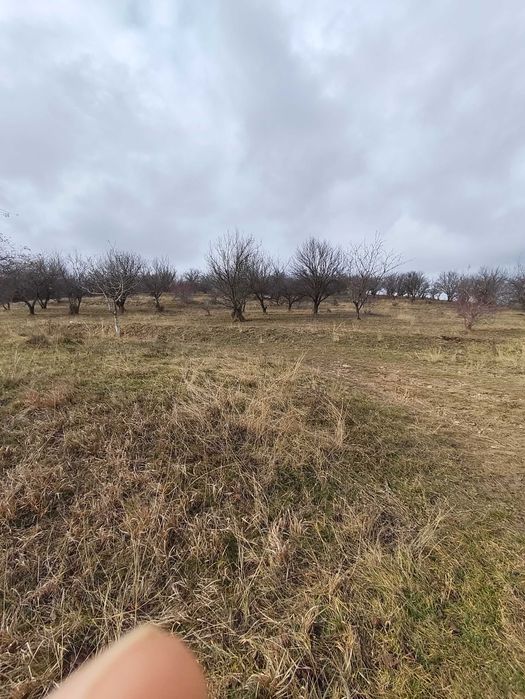 Teren de vanzare 2800mp