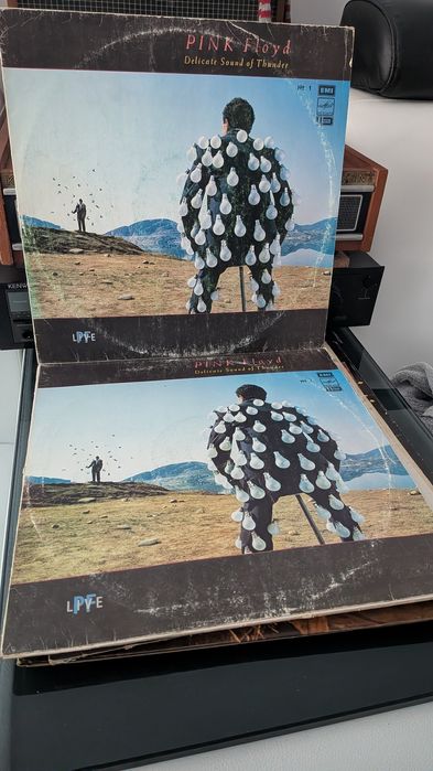 Pink Floyd -set  doua viniluri
