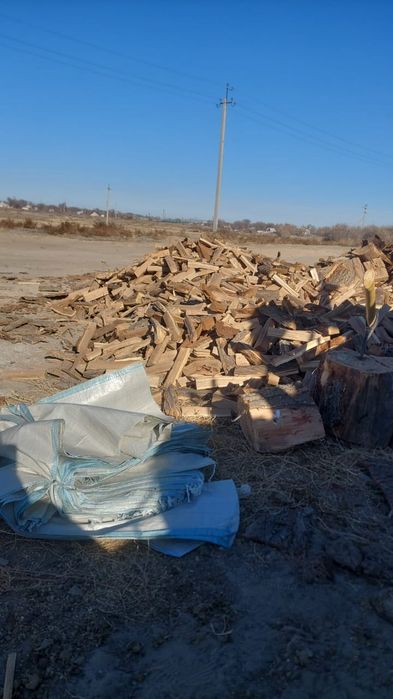 қара ағаш сухой!