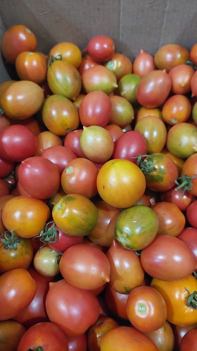 Овощи на продажу со своего огорода.