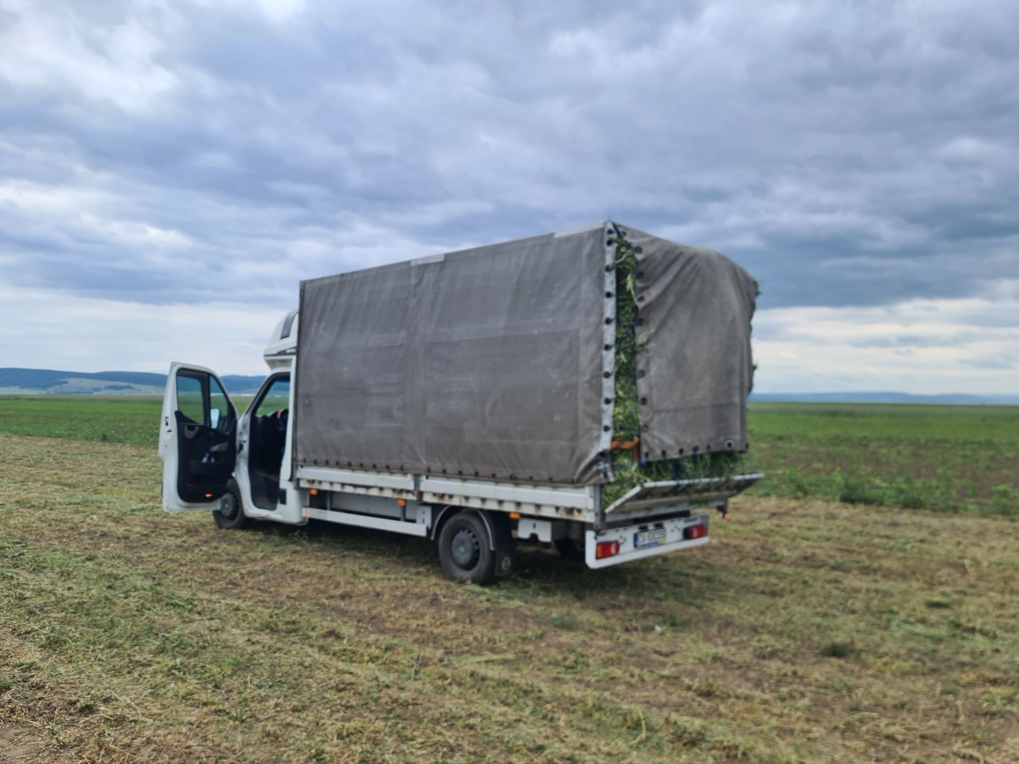 Vand baloti de Lucerna fan productie 2025 transport la domicilu