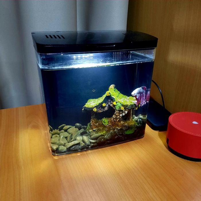 Настольный аквариум