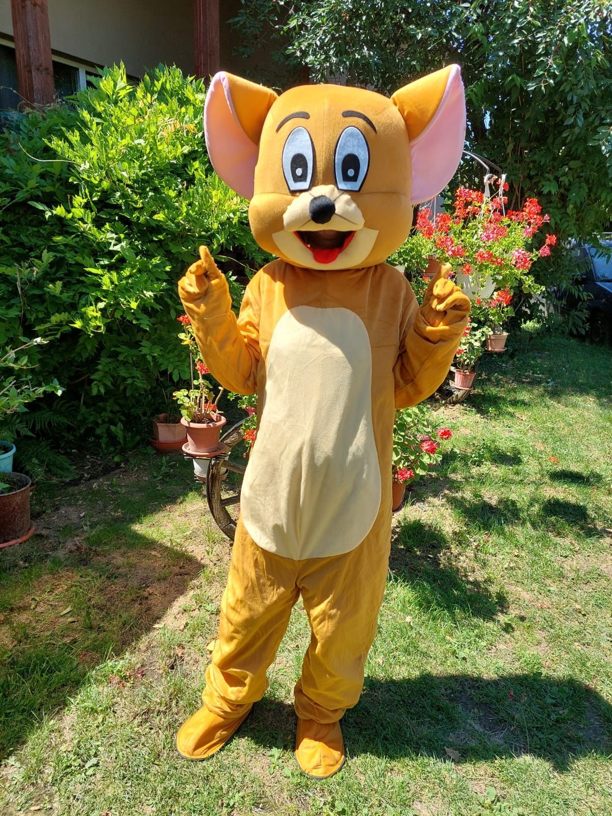 Mascote costume Donald si Daisy, Tom si Jerry