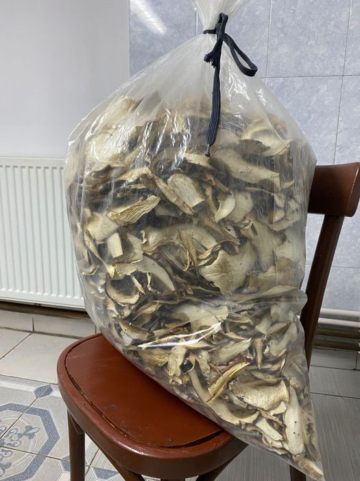 Vand hribi Uscati de toamna