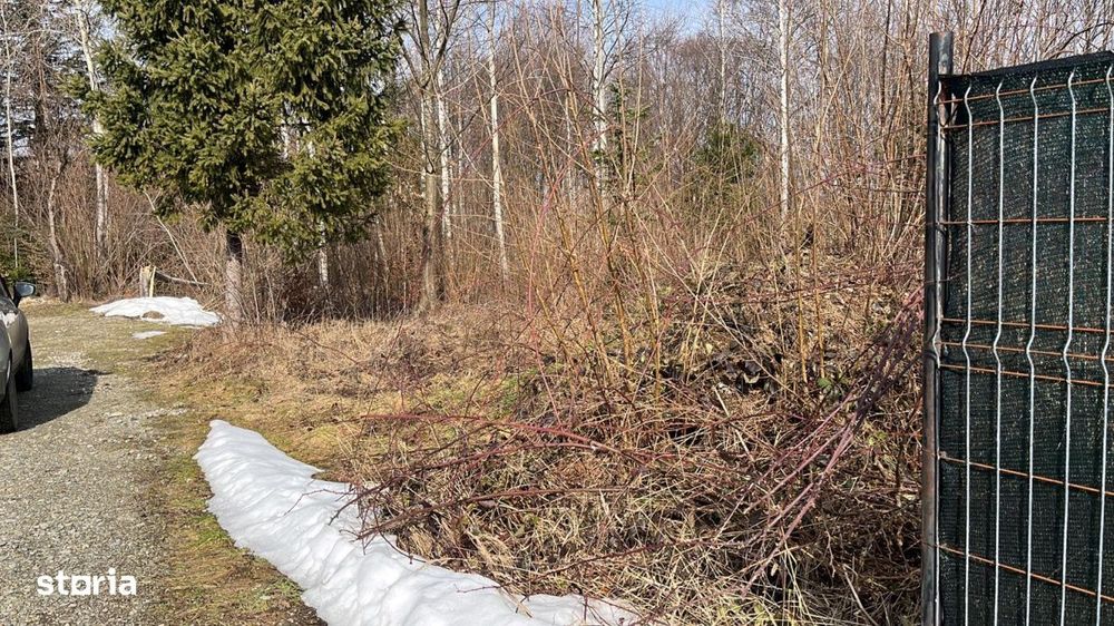 TEREN INTRAVILAN! 744 mp de vanzare pe Valea Avrigului