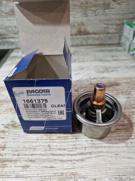 Термостат (87)DAF