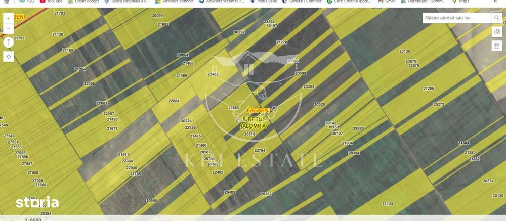 De vanzare 200 hectare Facaeni Ialomita