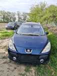 Capota aripa bara spate Peugeot 307 SW