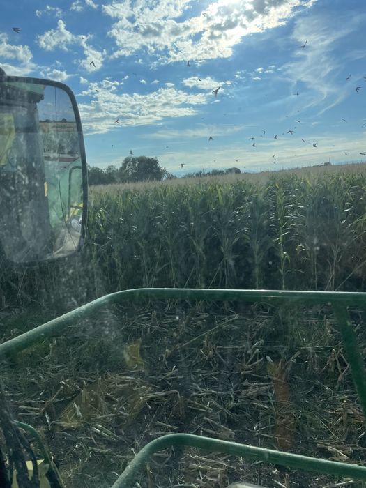 Сенаж , Силаж ,  Ливадно Сено, Слама