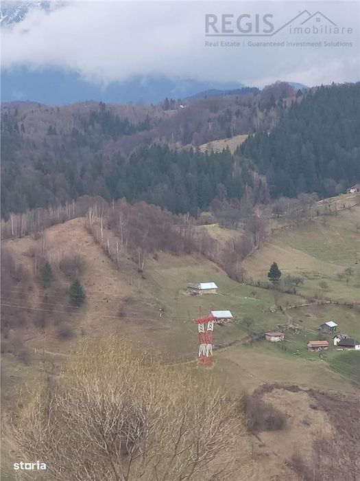 Teren, Zona de Interes Turistic-Cheile Gradistei,  8800mp