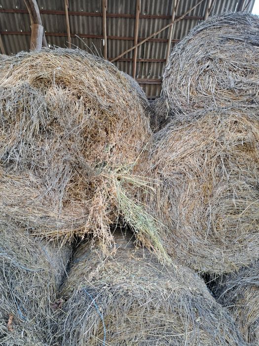 Vand baloti infoliati de lucerna și otava