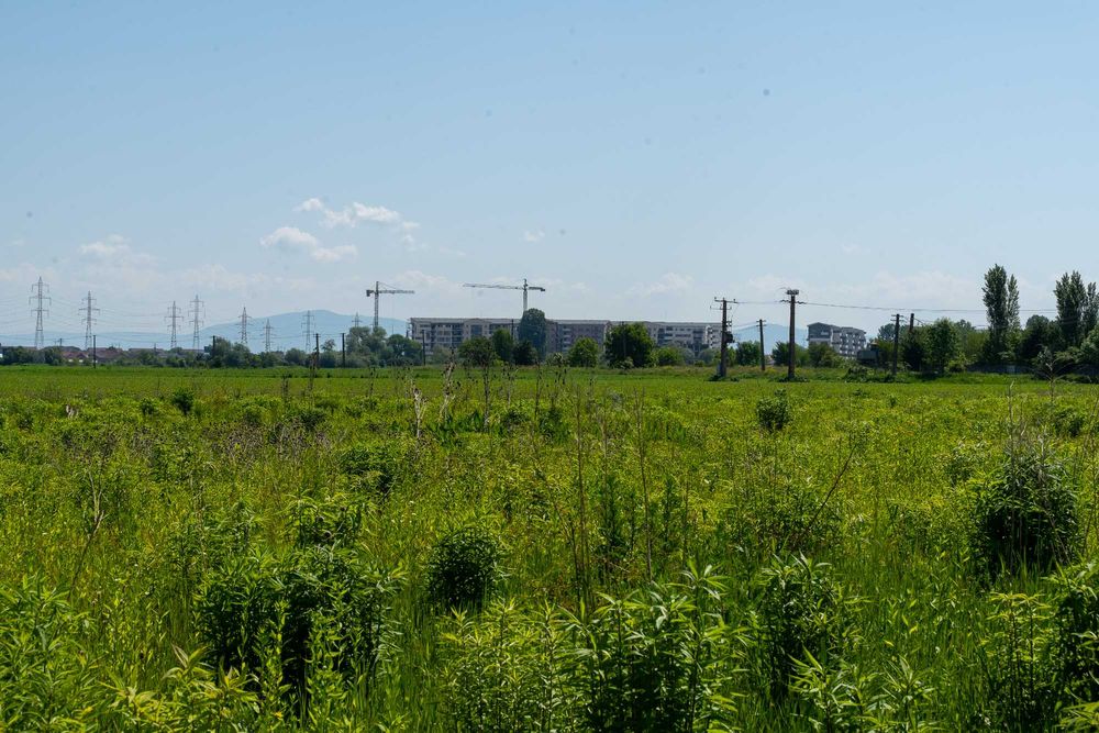 Teren intravilan de vanzare in Brasov
