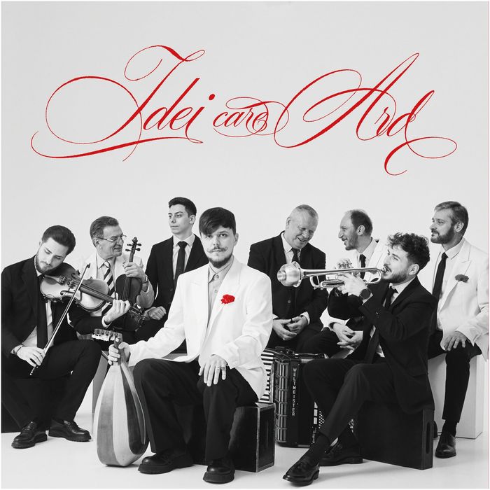 Vand set vinyluri Bogdan Simion