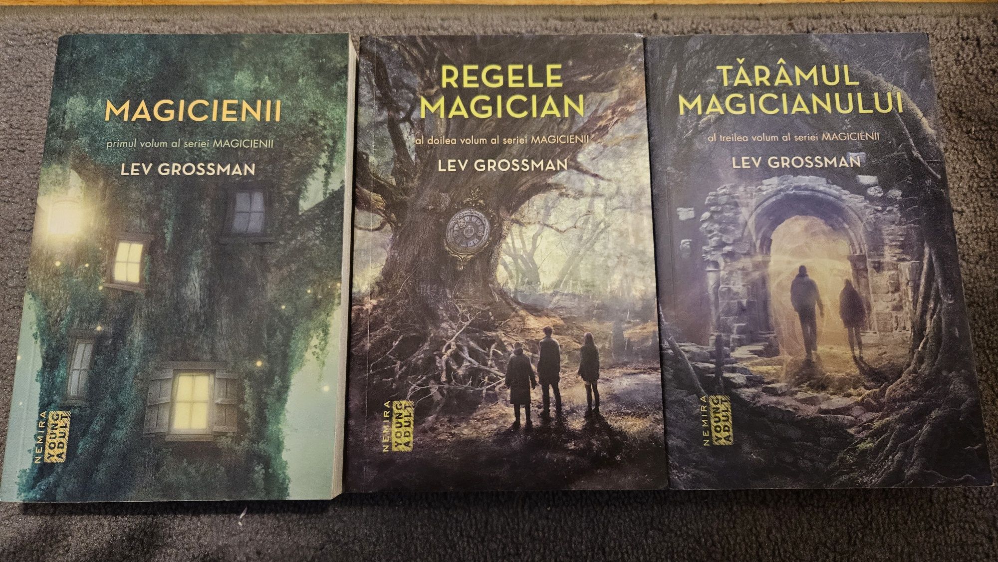 Vand set Lev Grossman, Magicienii, Regele Magician, Taramul