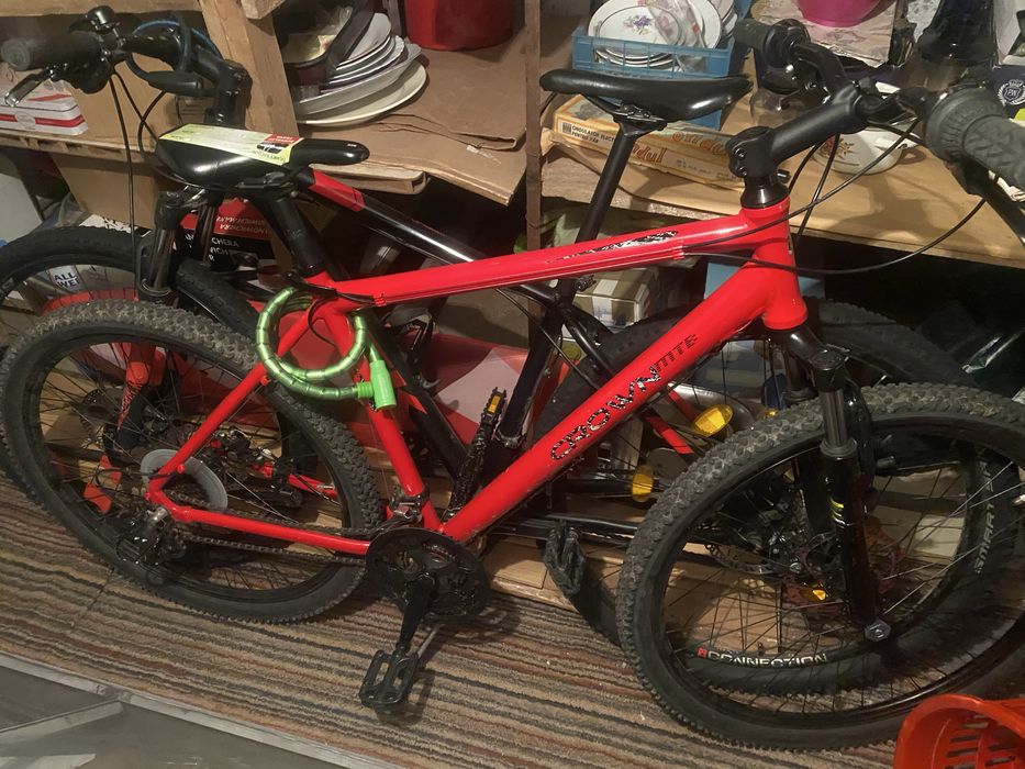 Vand bicicleta !