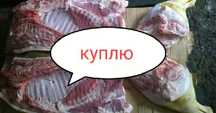 Мясо свинина домашняя