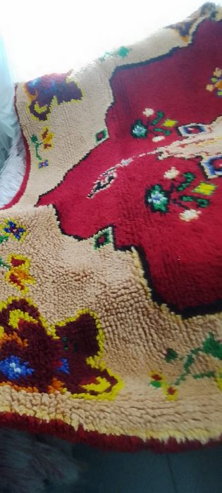 Голям вълнен китеник