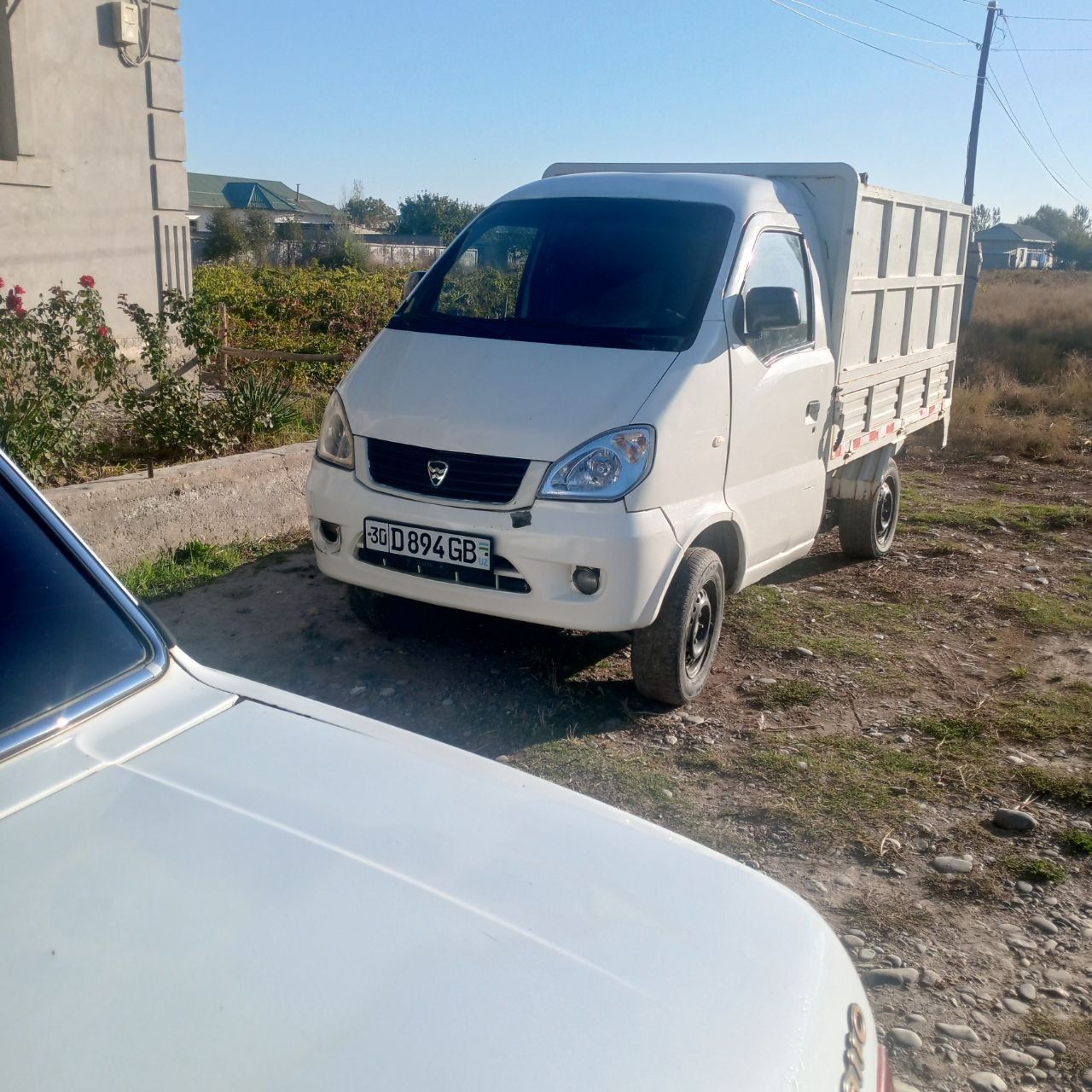 Hafei labo sotiladi