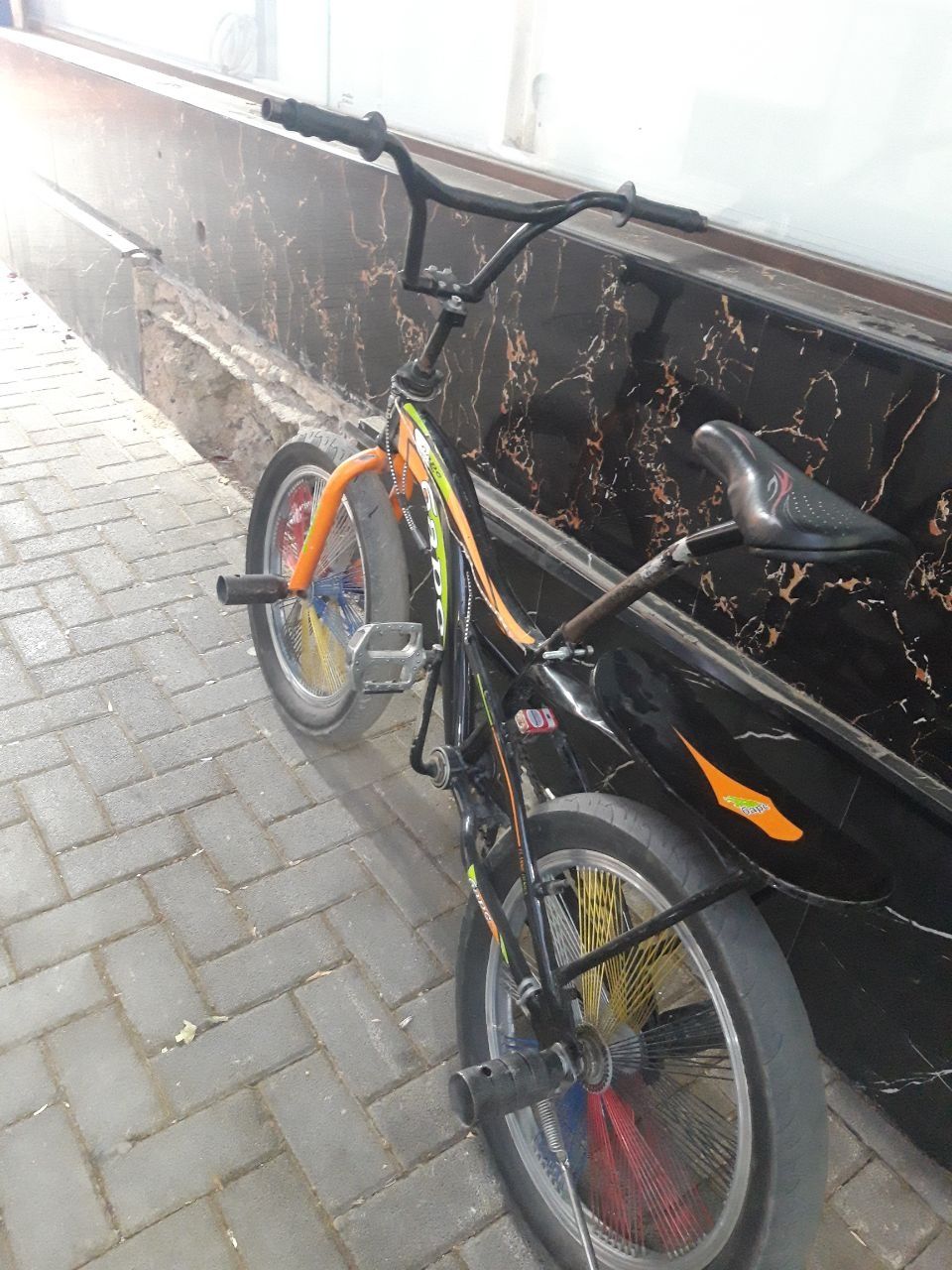 Bars velosiped 2024