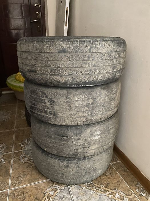 Торус 15 жағдайы жақсы