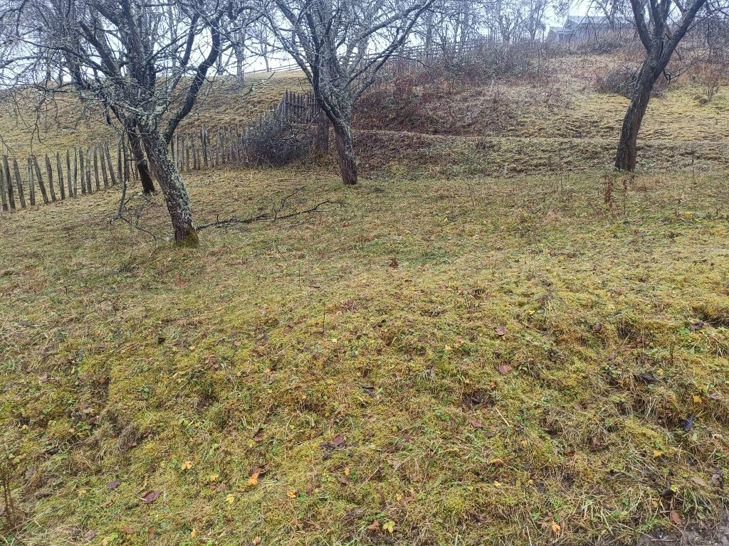 Продава се Парцел в с. Рибарица, Област Ловеч - 3000 кв.м за 6 €/кв.м - Снимка #3