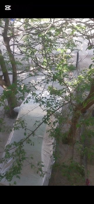 srochna 2 xona 3 xona qilingan kvartira sotiladi