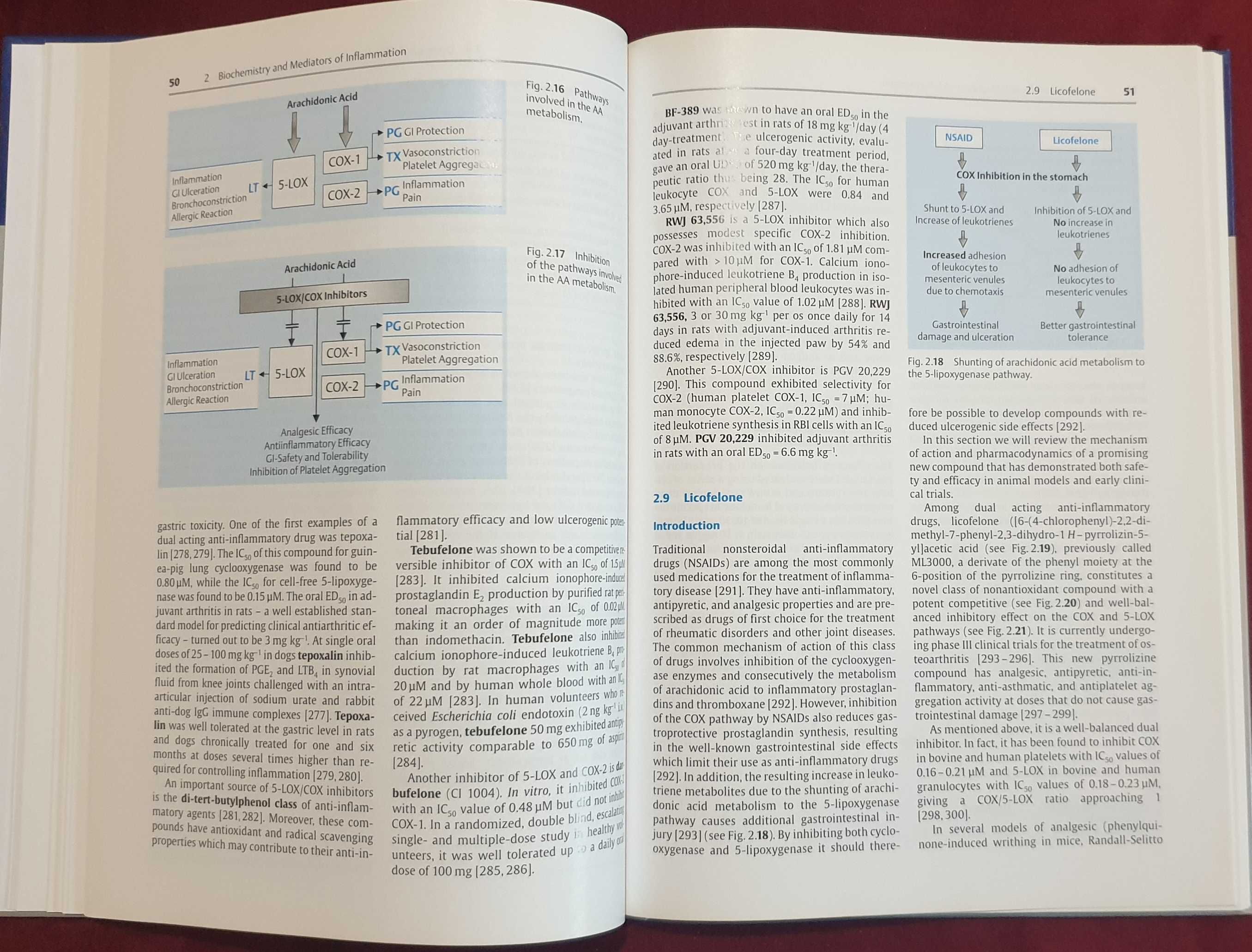 Inflammation and Rheumatic Diseases.Molecular Basis of Novel Therapies