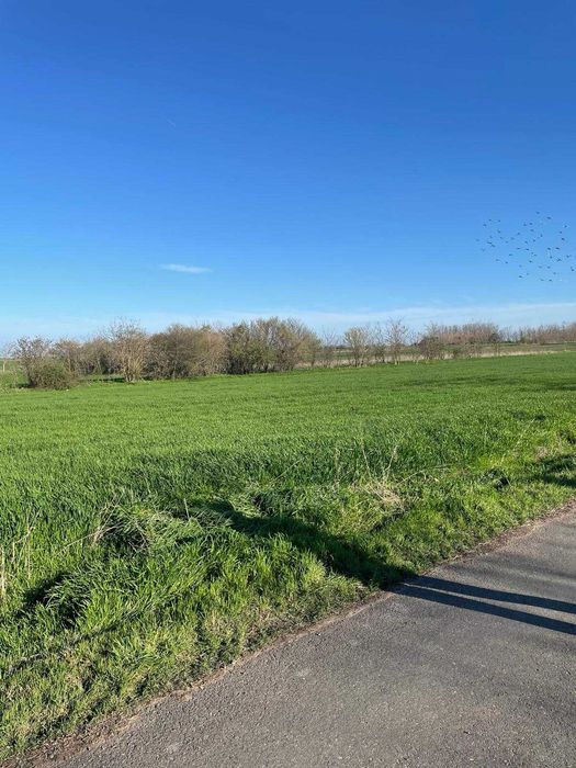 teren intravilan de vânzare 1500mp în Vișini