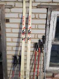 Спортивные лыжи fichker